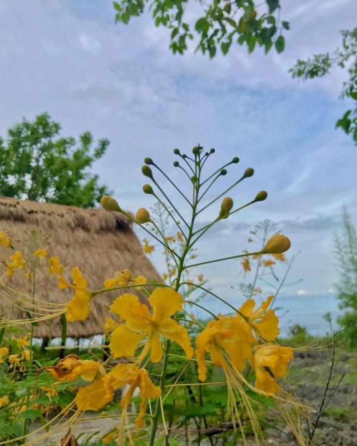 Oro Beach Houses Weetebula Ngoại thất bức ảnh